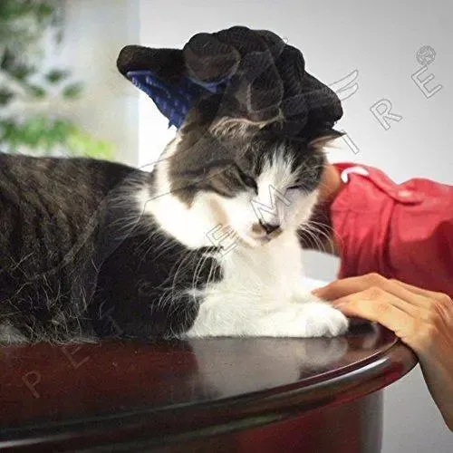 Adidog hair remover glove For Cat & Dog, Color May Vary