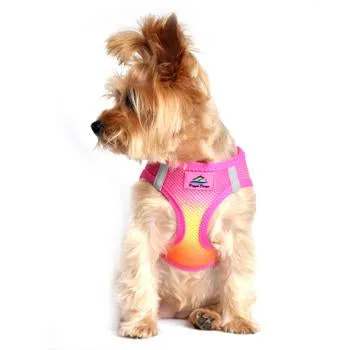American River Dog Harness - Raspberry Pink