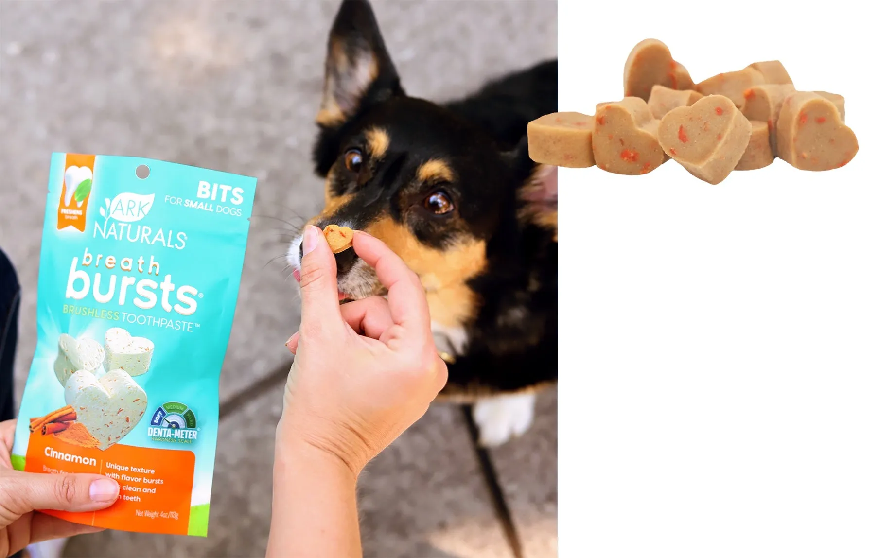 Ark Naturals Breath Bursts