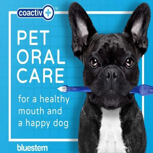 Bluestem Oral Care Vanilla Mint Toothpaste for Dogs