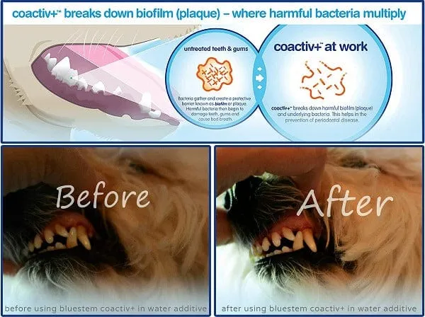 Bluestem Oral Care Vanilla Mint Toothpaste for Dogs