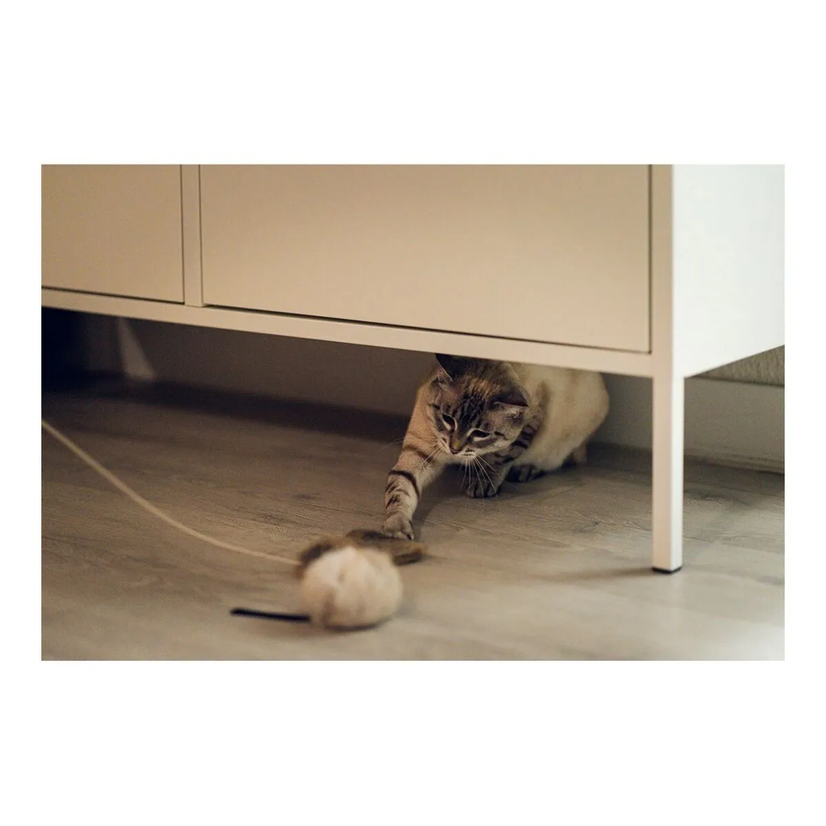 Cat Toy Gloria Renzo Mouse