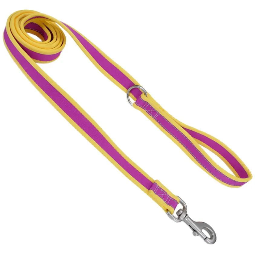 Coastal Pet Attire Pro Nylon Dog Leash, 6' x 3/4"