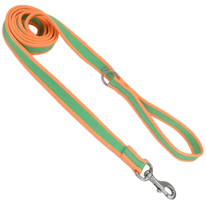 Coastal Pet Attire Pro Nylon Dog Leash, 6' x 3/4"