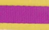 Coastal Pet Attire Pro Nylon Dog Leash, 6' x 3/4"