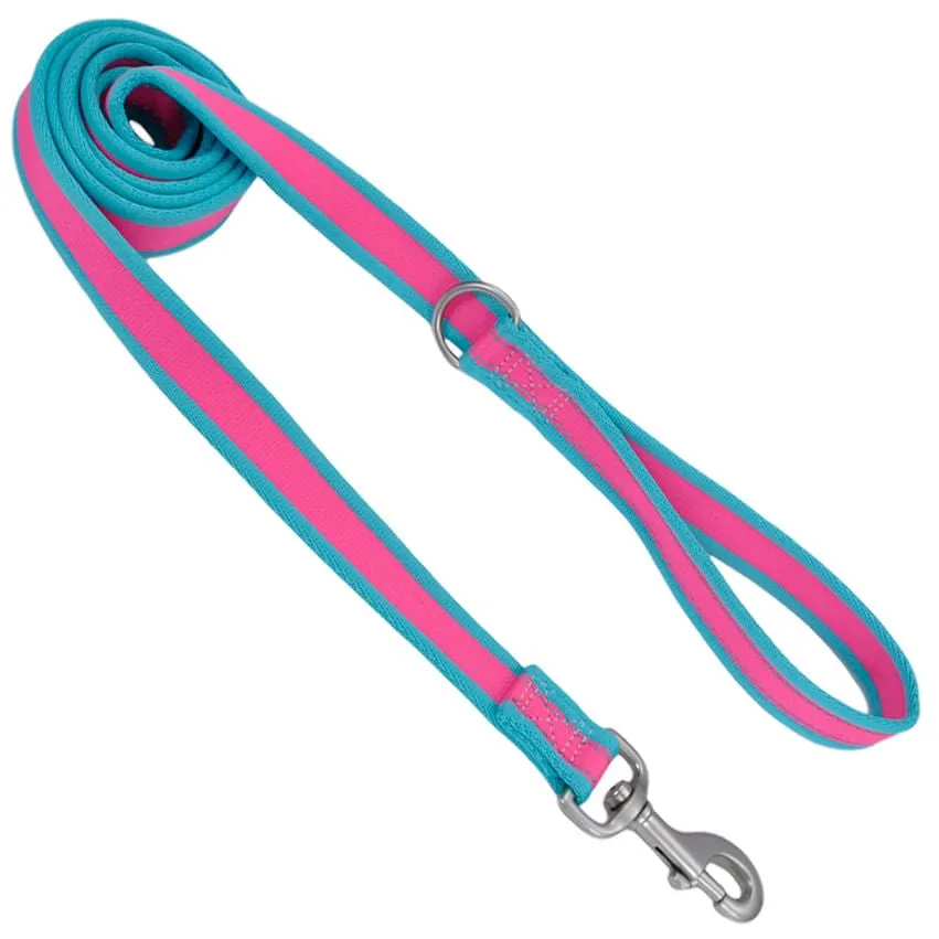 Coastal Pet Attire Pro Nylon Dog Leash, 6' x 3/4"