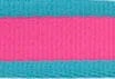 Coastal Pet Attire Pro Nylon Dog Leash, 6' x 3/4"