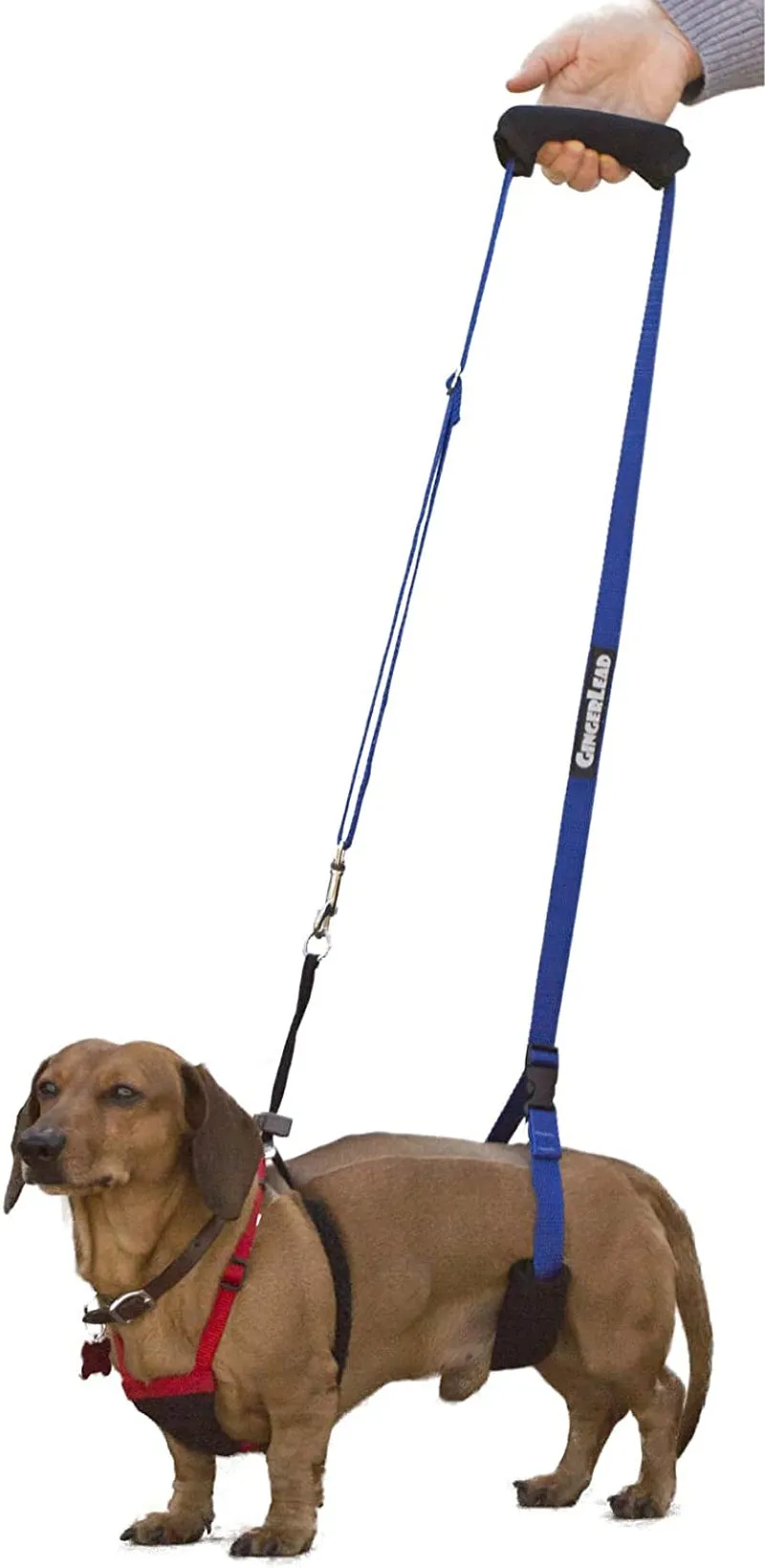 Dog Sling Support Harness