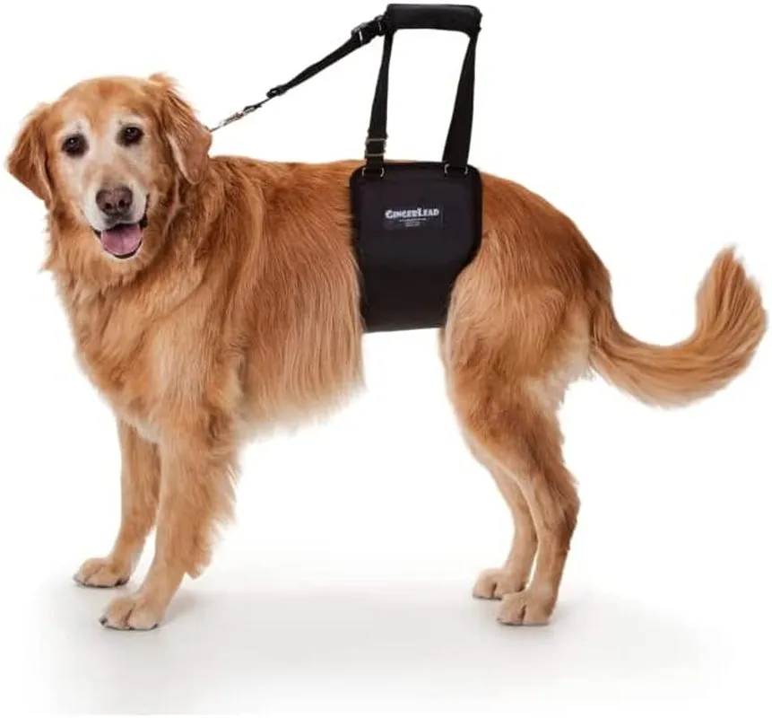 Dog Sling Support Harness