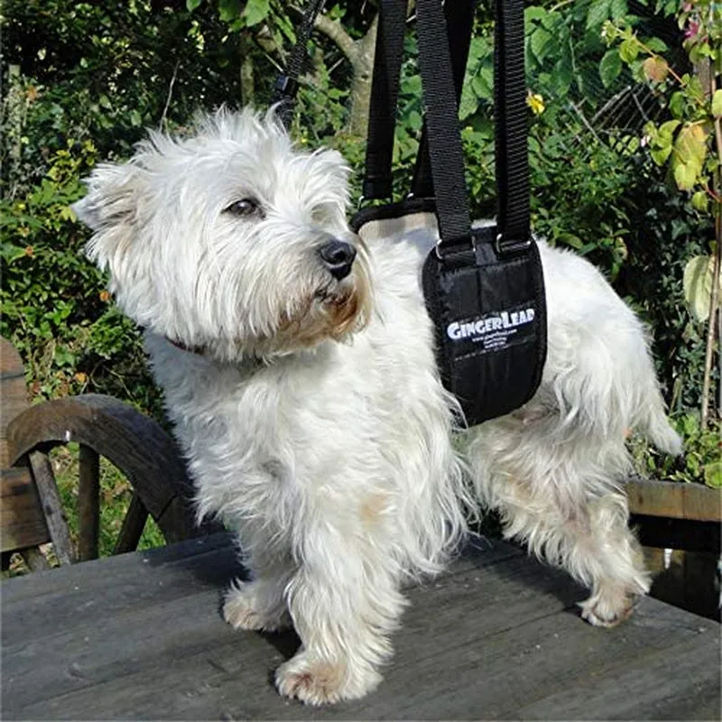 Dog Sling Support Harness