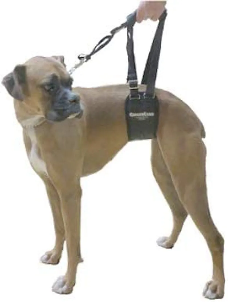 Dog Sling Support Harness