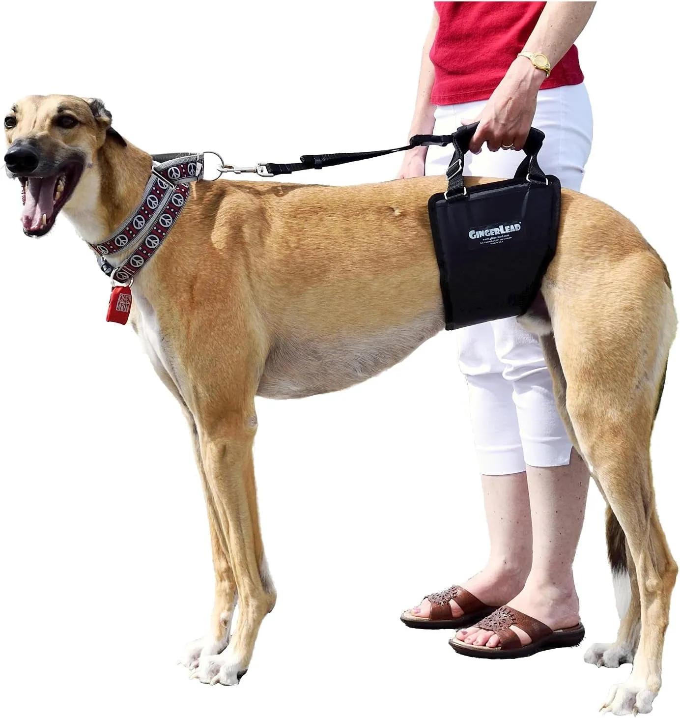 Dog Sling Support Harness