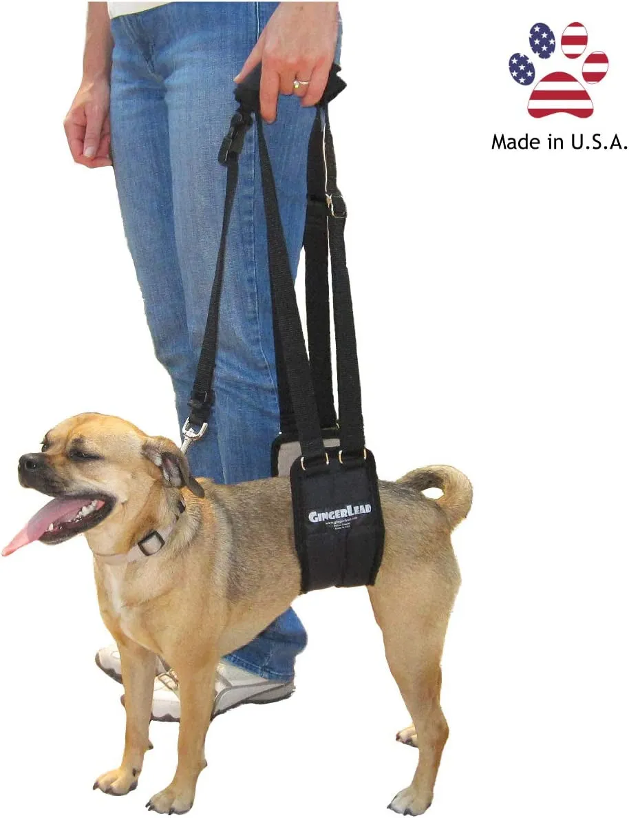 Dog Sling Support Harness
