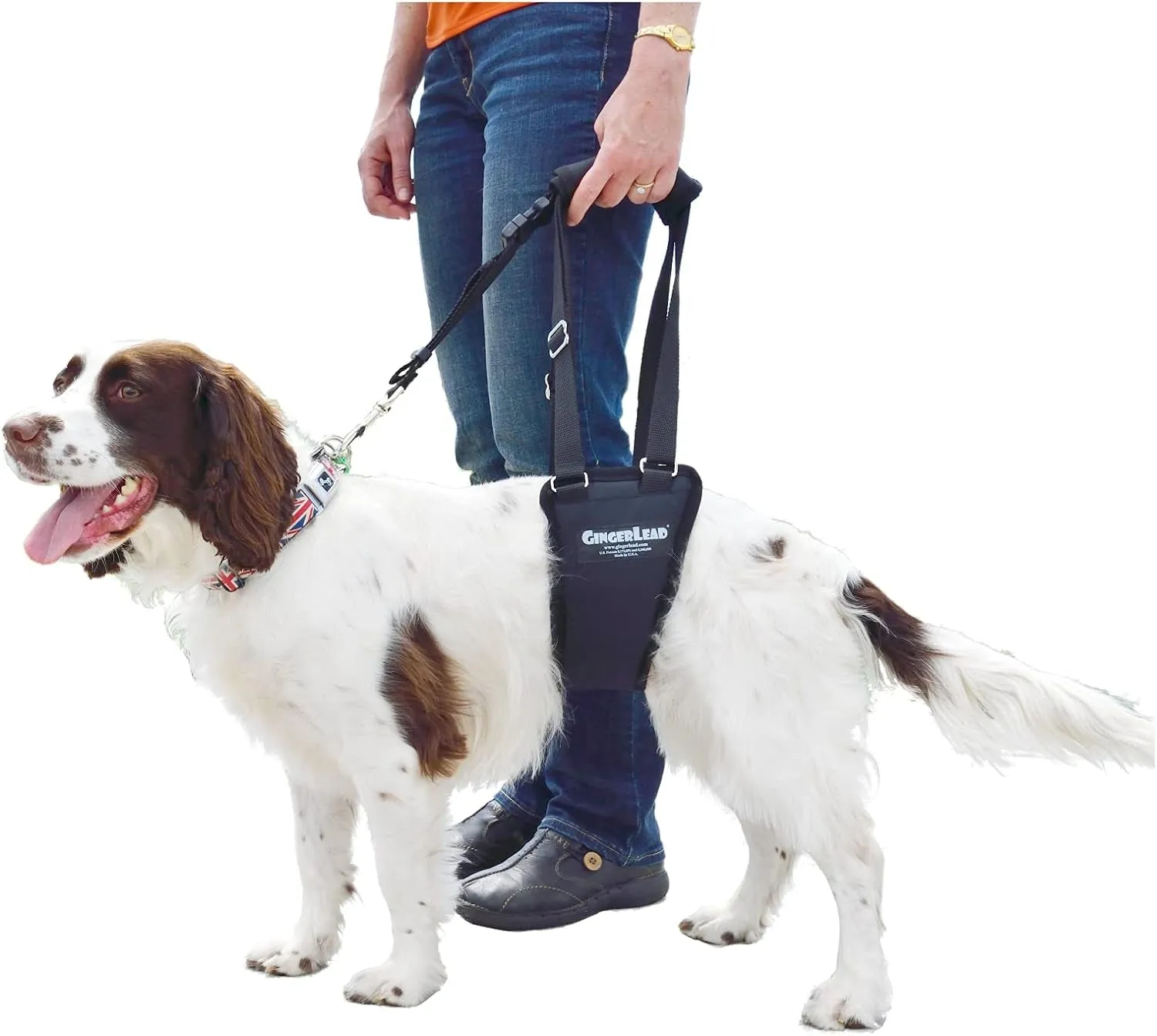 Dog Sling Support Harness
