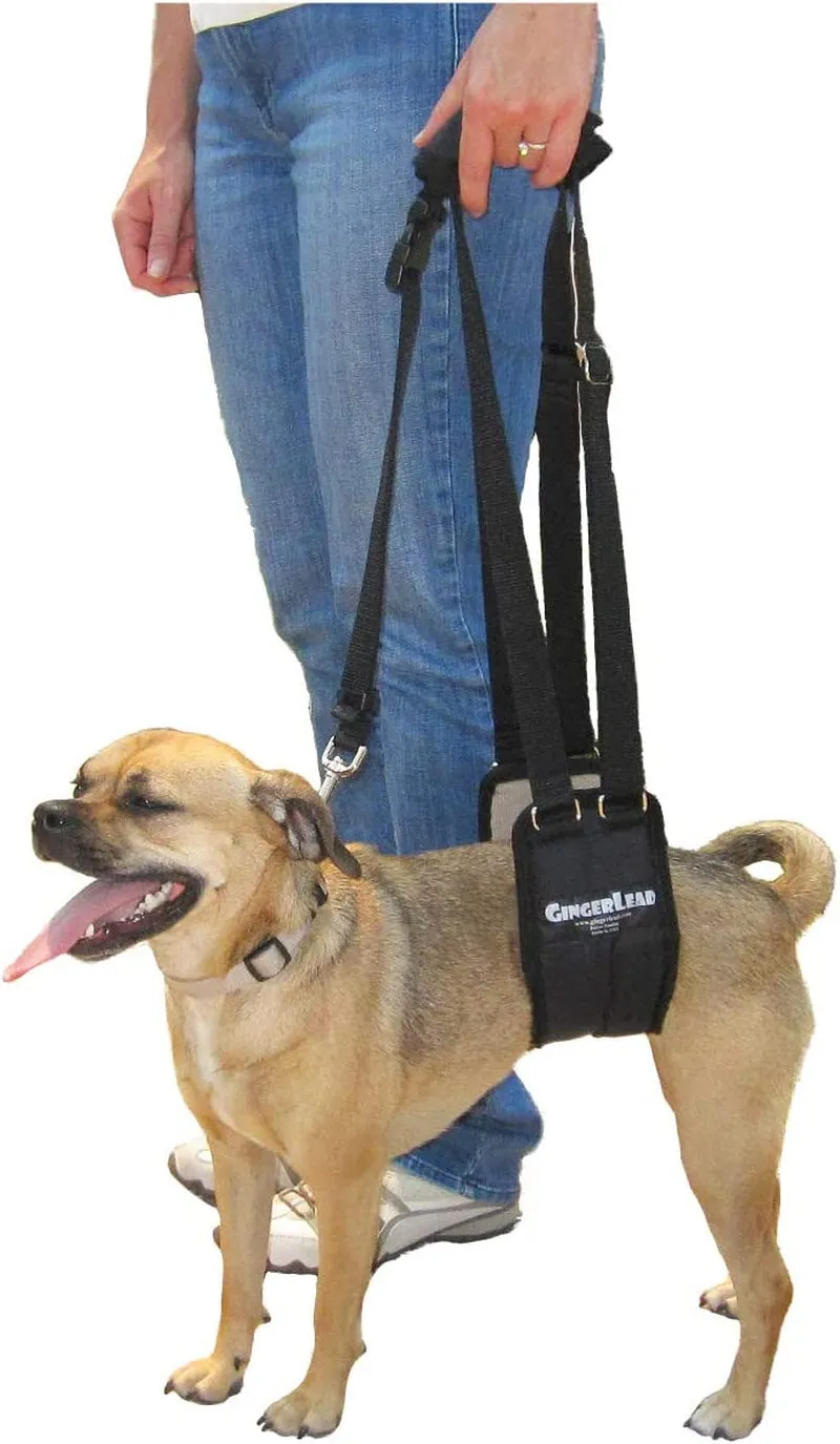 Dog Sling Support Harness
