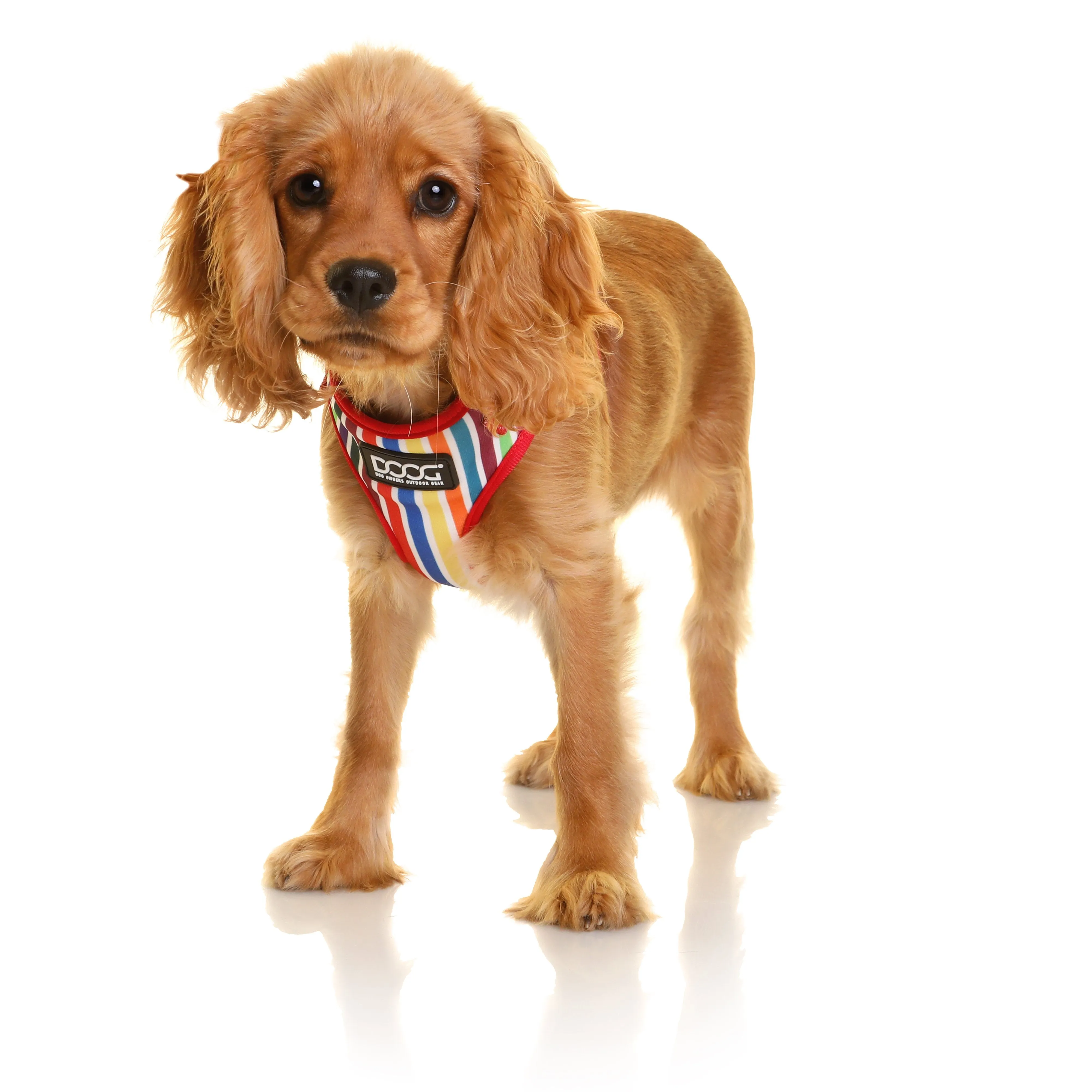 Doog Scooby Neoflex Dog Harness Extra Large***