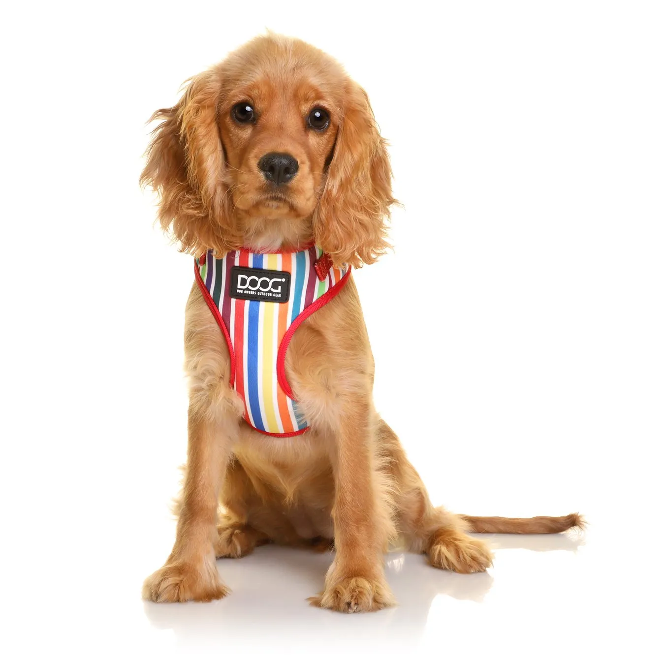Doog Scooby Neoflex Dog Harness Extra Large***