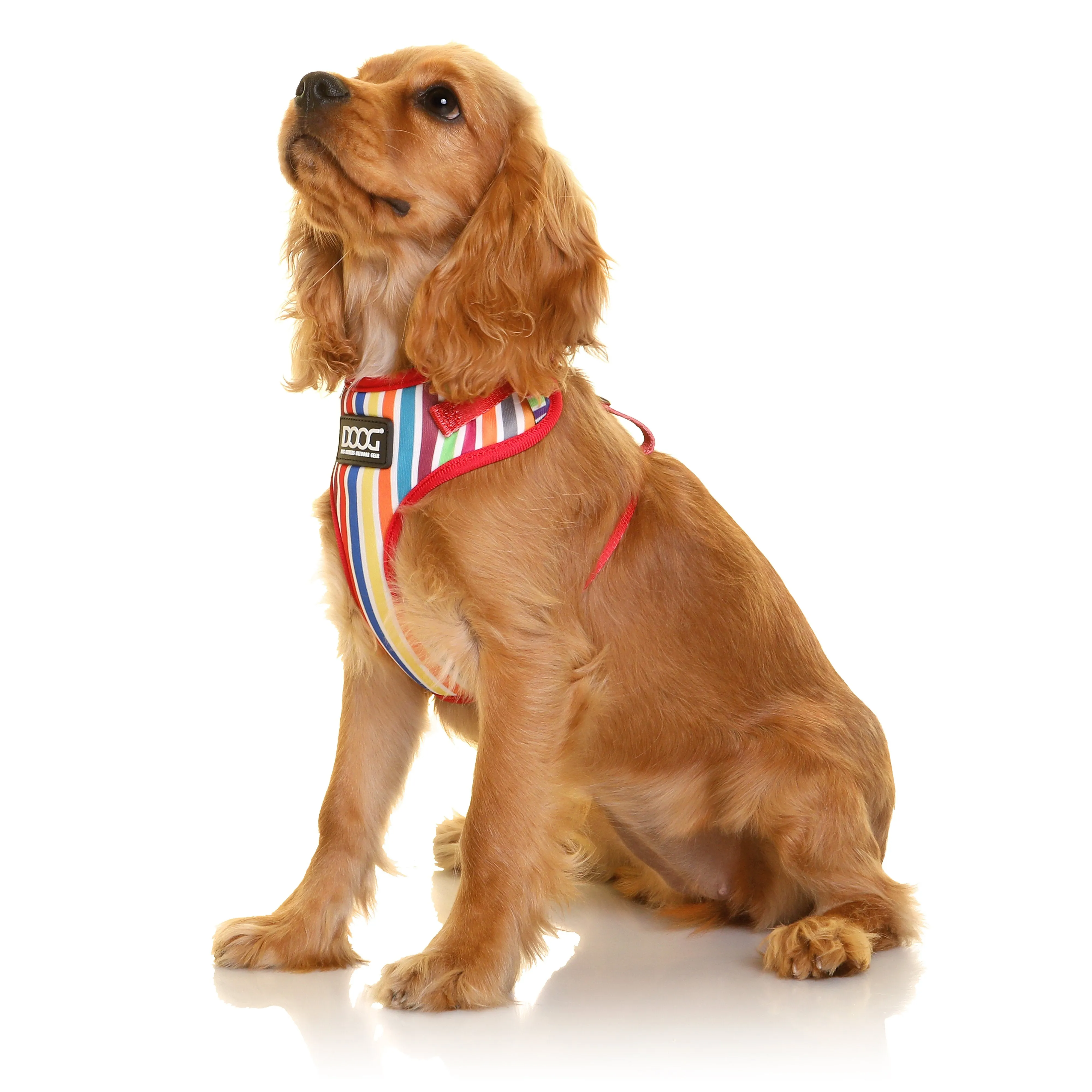 Doog Scooby Neoflex Dog Harness Extra Large***