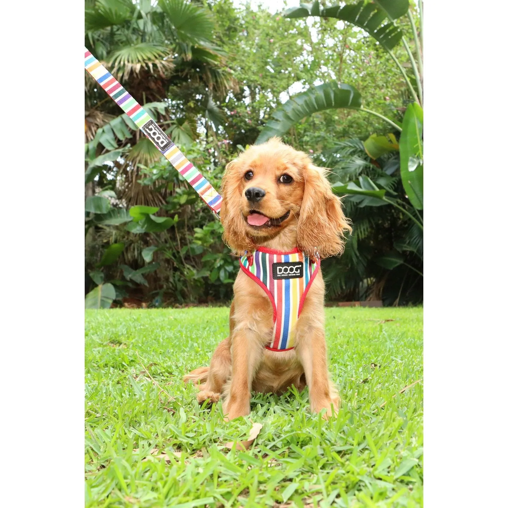 Doog Scooby Neoflex Dog Harness Extra Large***