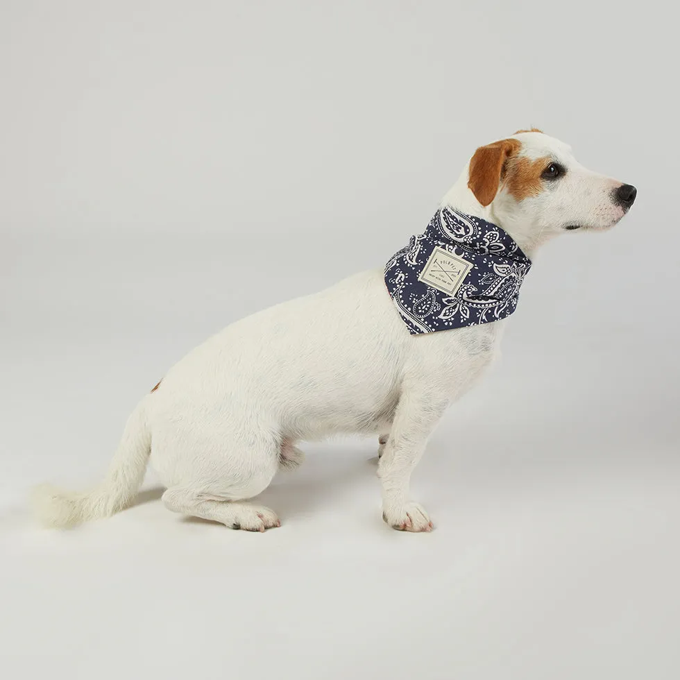 Paisley Bandana