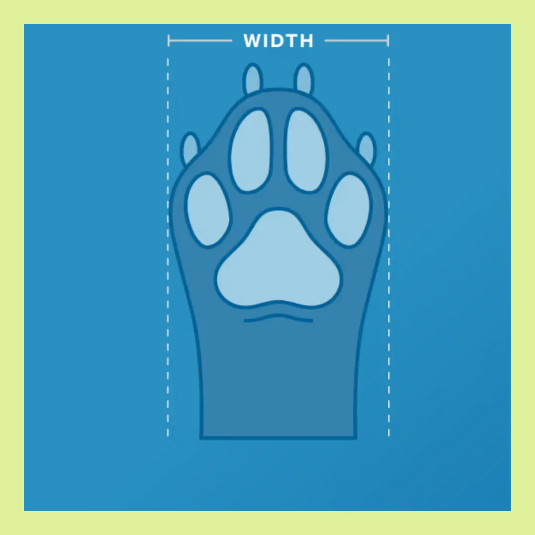RC Pet Sport Pawks Charcoal Heather XXS