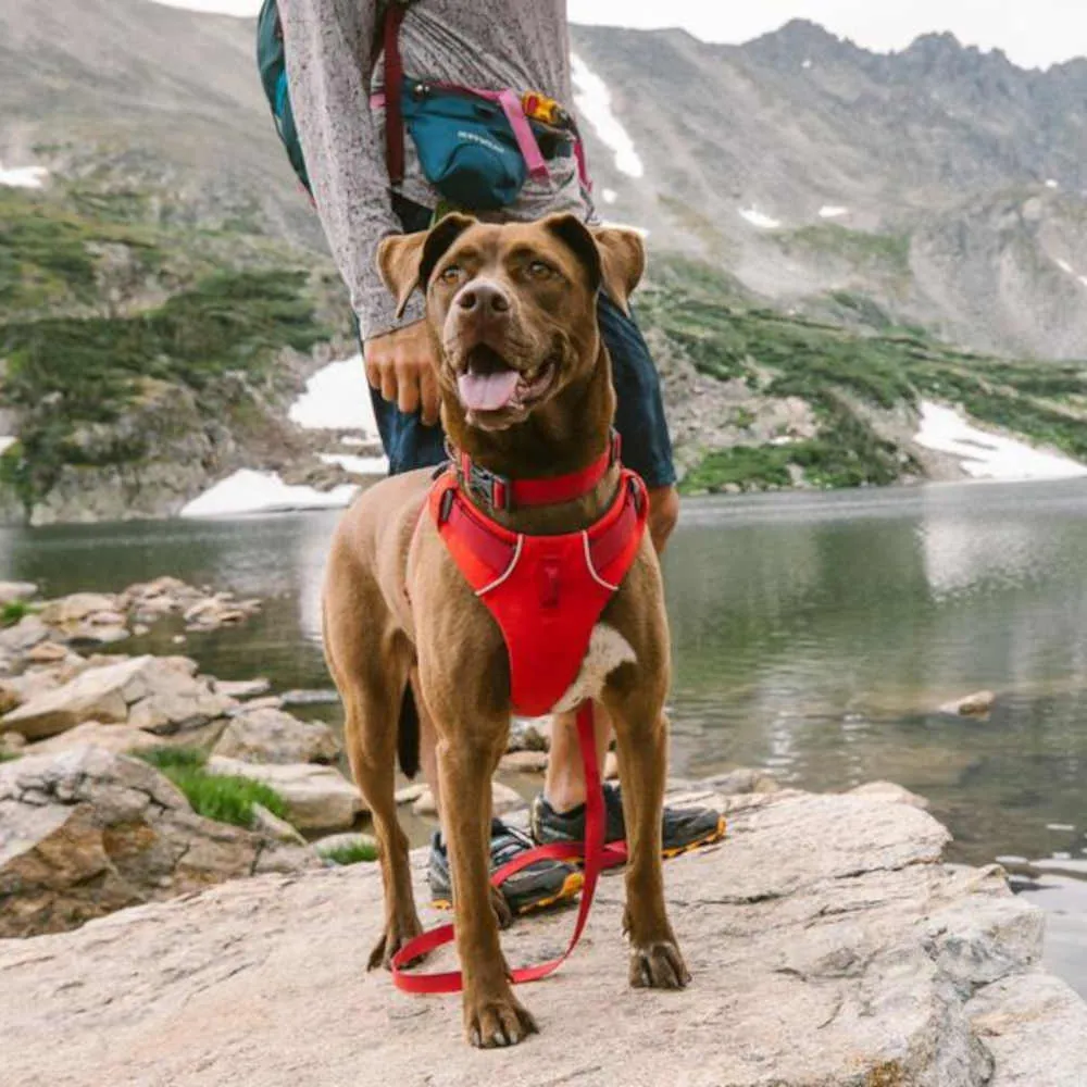 Ruffwear Front Range No-Pull Everyday Dog Harness (Blue Pool)