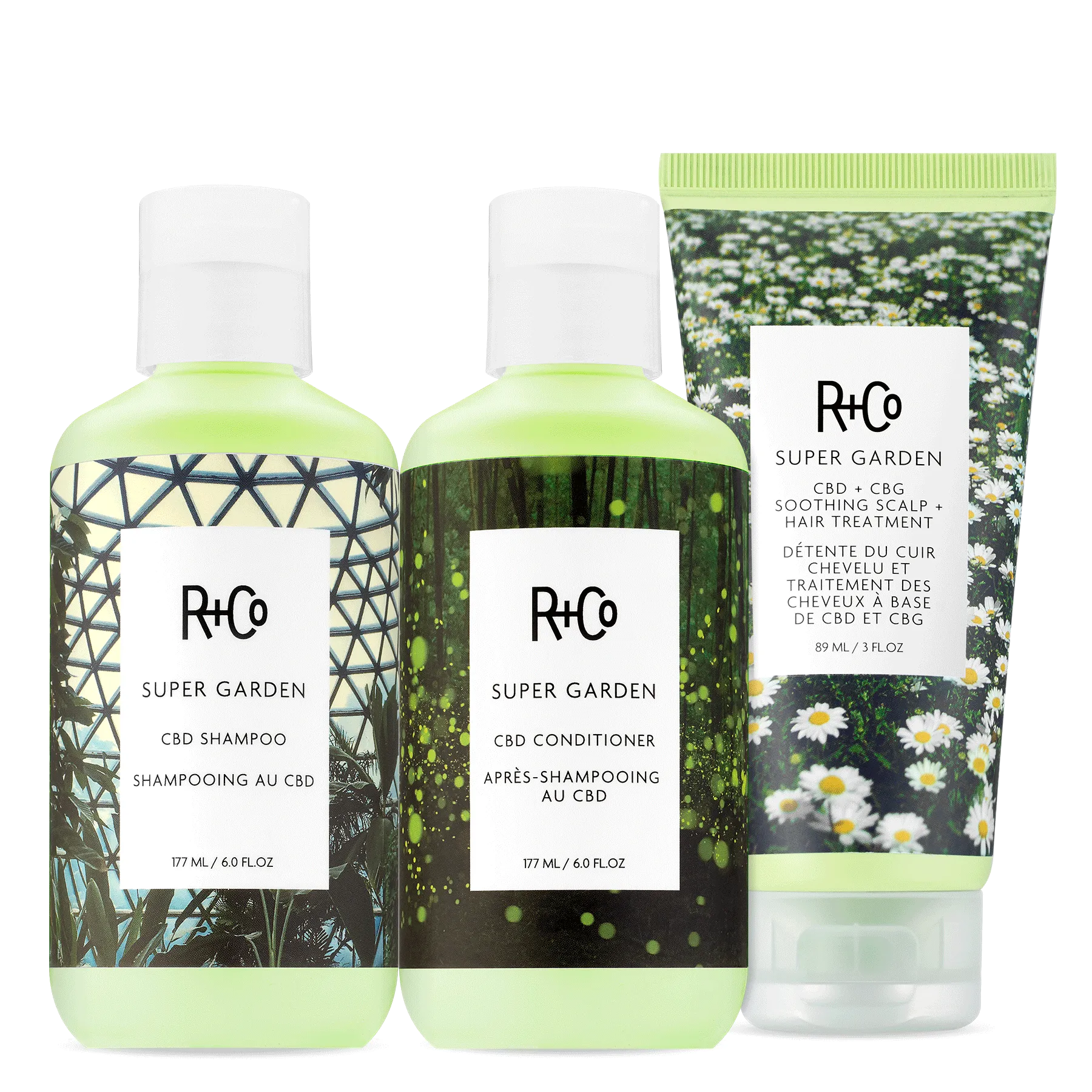 SCALP CARE Kit
