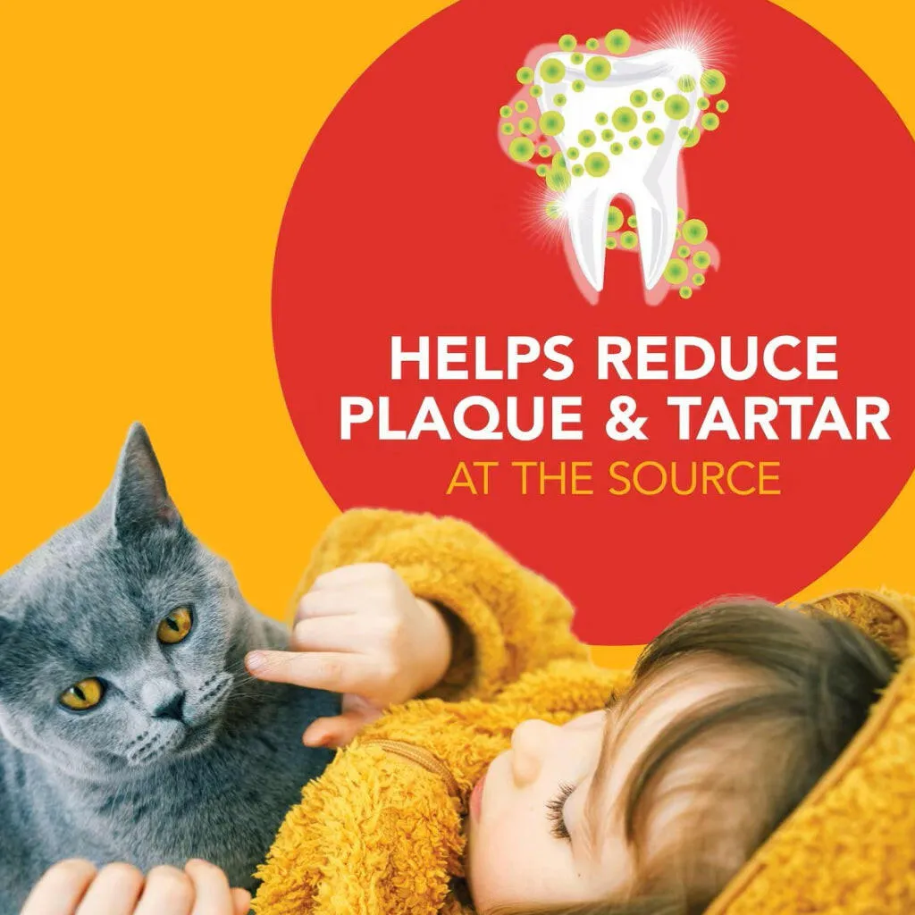Sentry Petrodex Advanced Enzymatic Malt Flavored Dental Kit for Cats