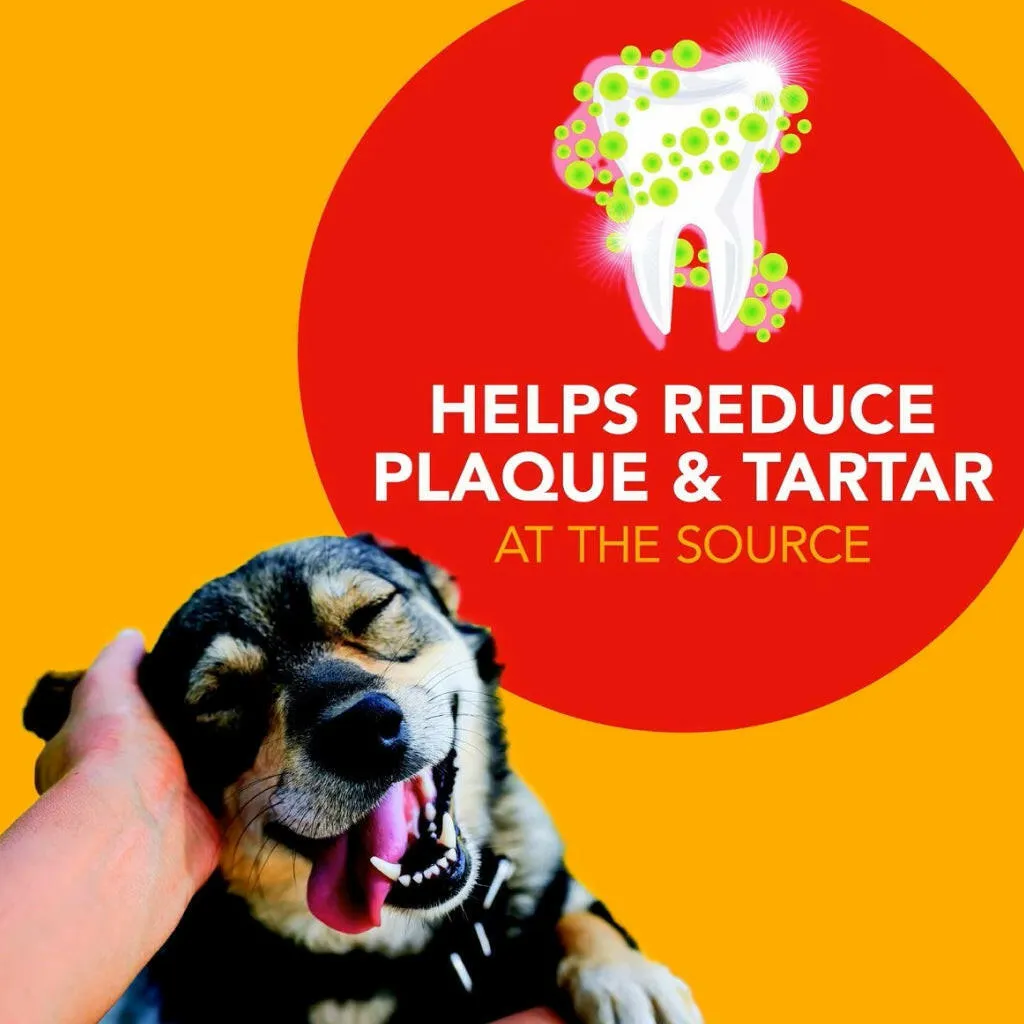 Sentry Petrodex Advanced Enzymatic Poultry Flavored Dental Kit for Dogs