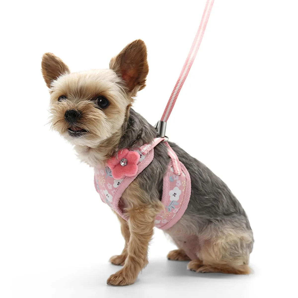 sweet floral harness & leash set- pink