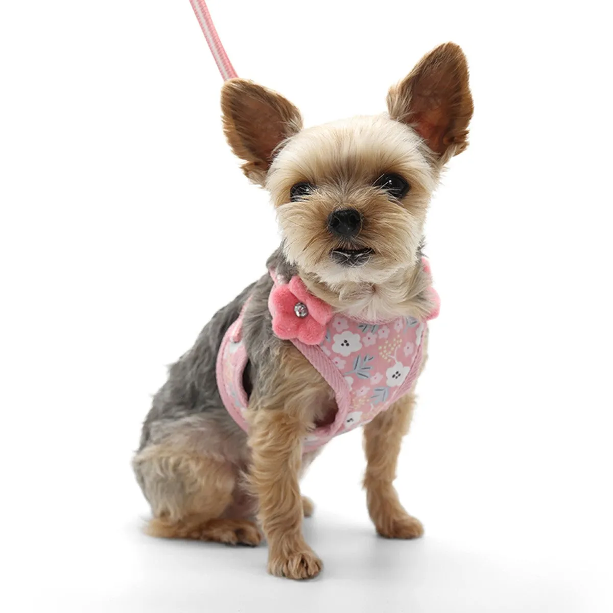 sweet floral harness & leash set- pink
