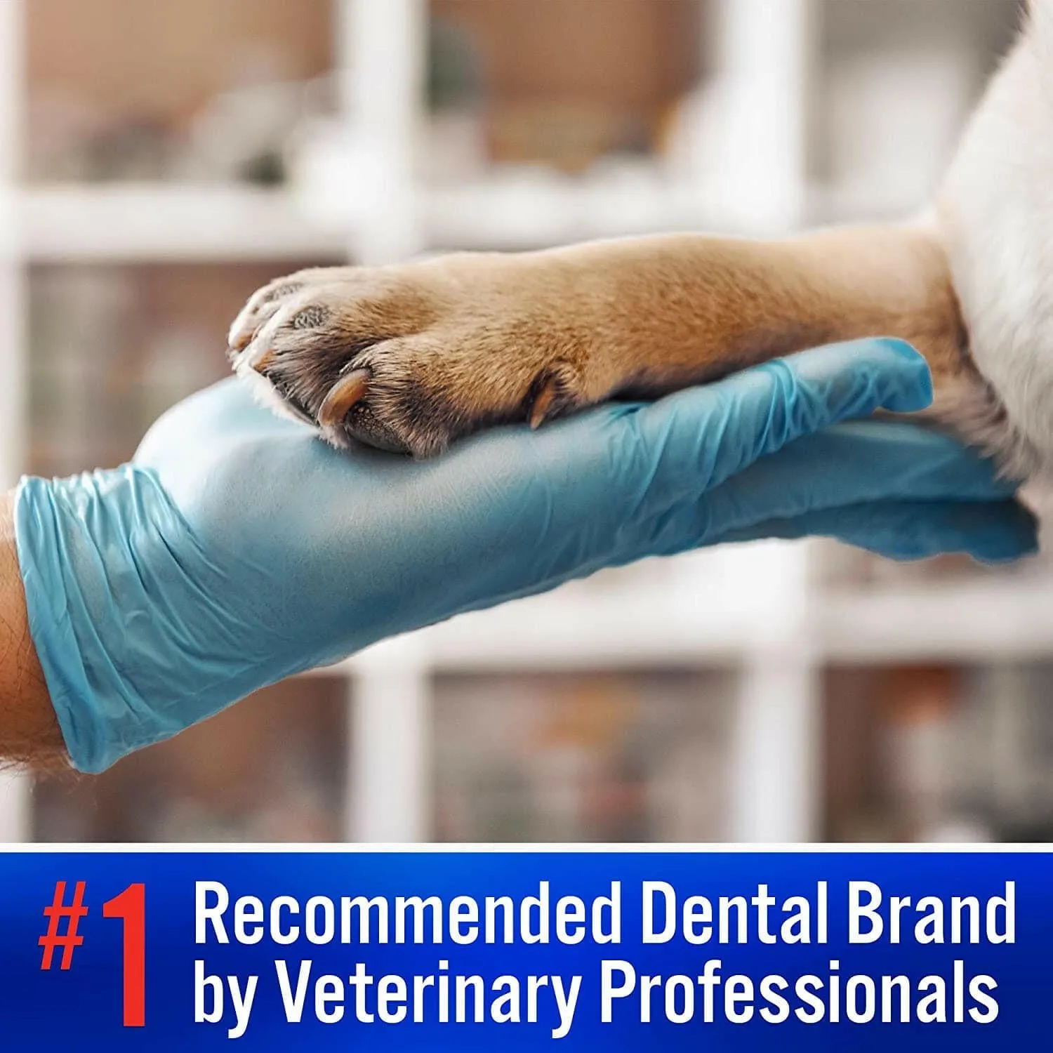 Virbac C.E.T. Enzymatic Toothpaste for Dogs & Cats, 2.5 oz - Malt Flavor