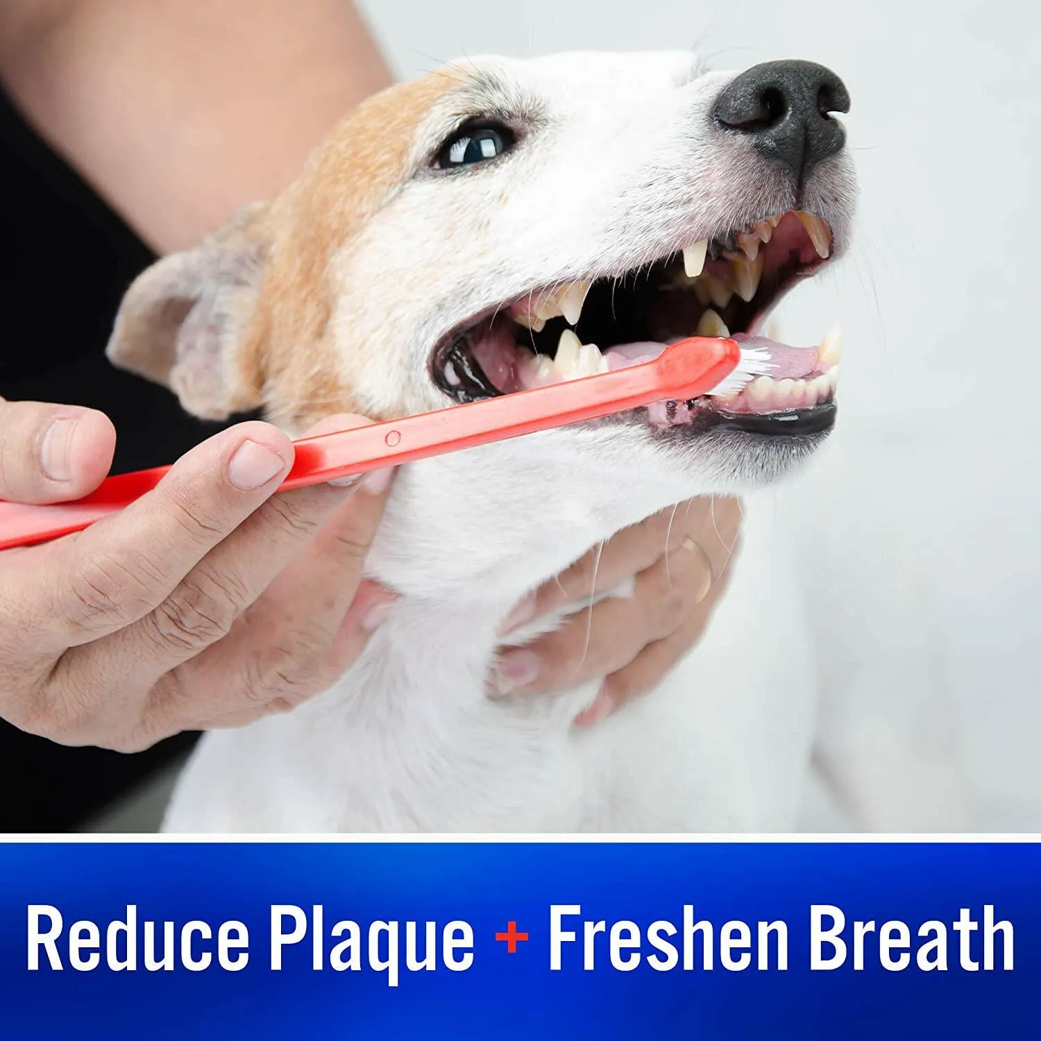 Virbac C.E.T. Enzymatic Toothpaste for Dogs & Cats, 2.5 oz - Seafood Flavor